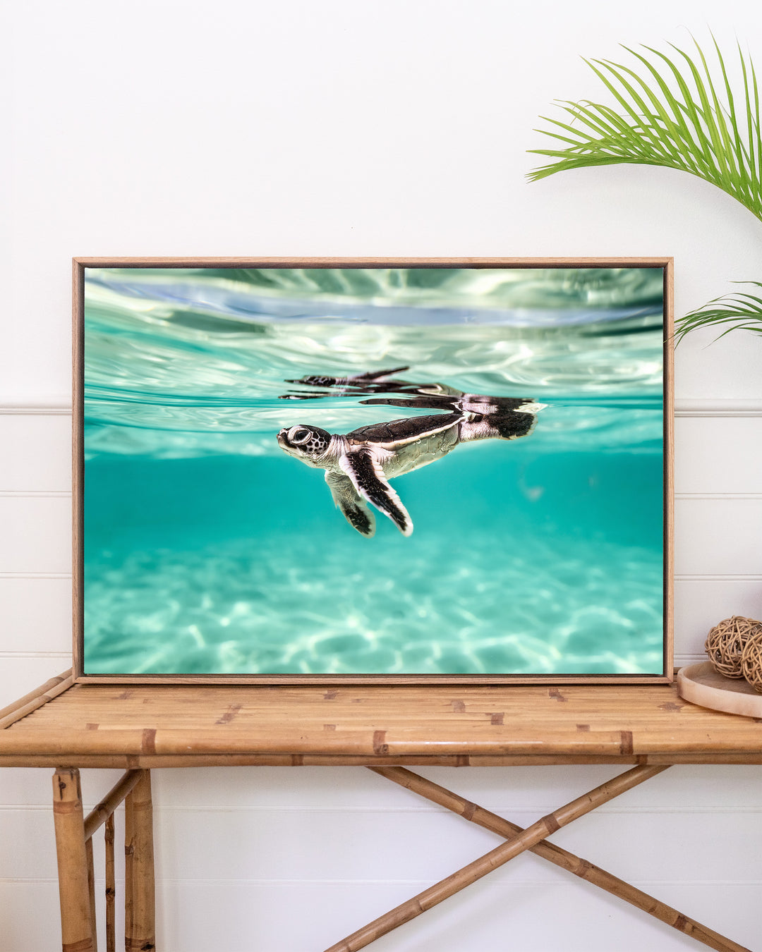 Sea turtle hatchling swimming underwater, from the artwork Framed Between Two Worlds - Turtle Hatchling.