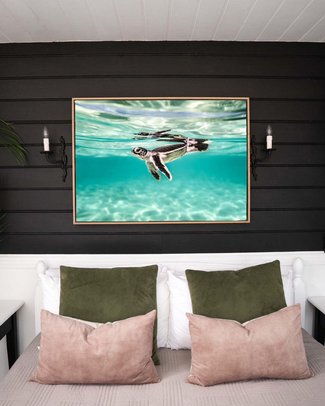 Between Two Worlds – Turtle Hatchling, Underwater Photography by David Lloyd, framed canvas print in oak float frame, styled in a bedroom setting