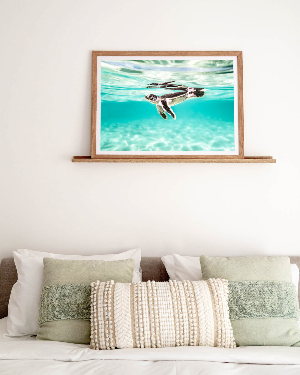 Between Two Worlds – Turtle Hatchling, Underwater Photography by David Lloyd, framed paper print in oak frame, styled in a bedroom setting