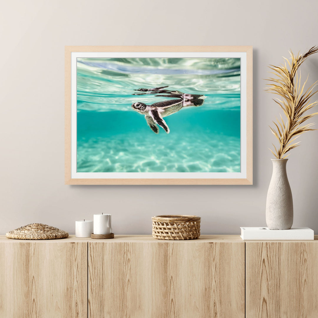 Between Two Worlds – underwater photograph of turtle hatchling beneath surface reflections with patterned light cascading across the sand below | Framed Paper Print