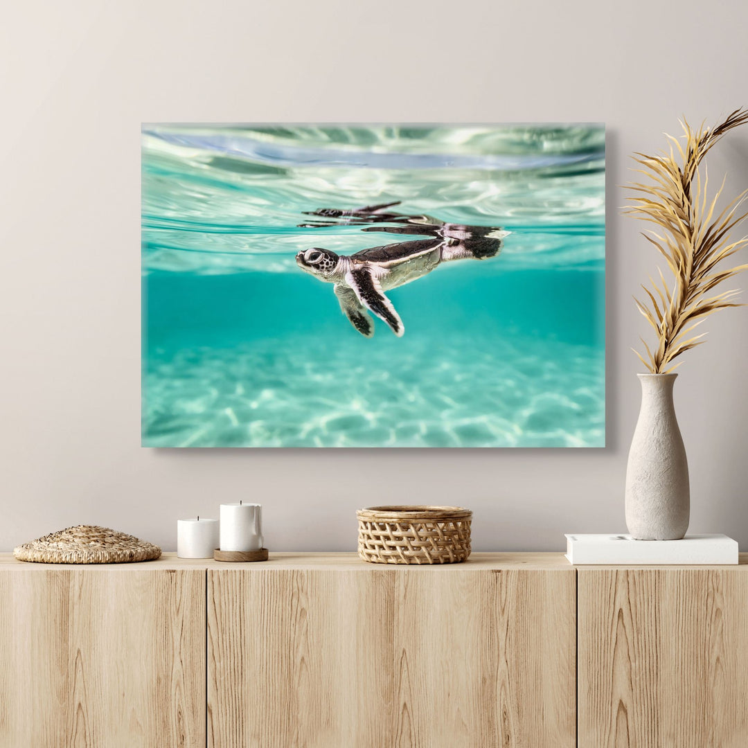 Between Two Worlds – underwater photograph of turtle hatchling beneath surface reflections with patterned light cascading across the sand below | Stretched Canvas Print