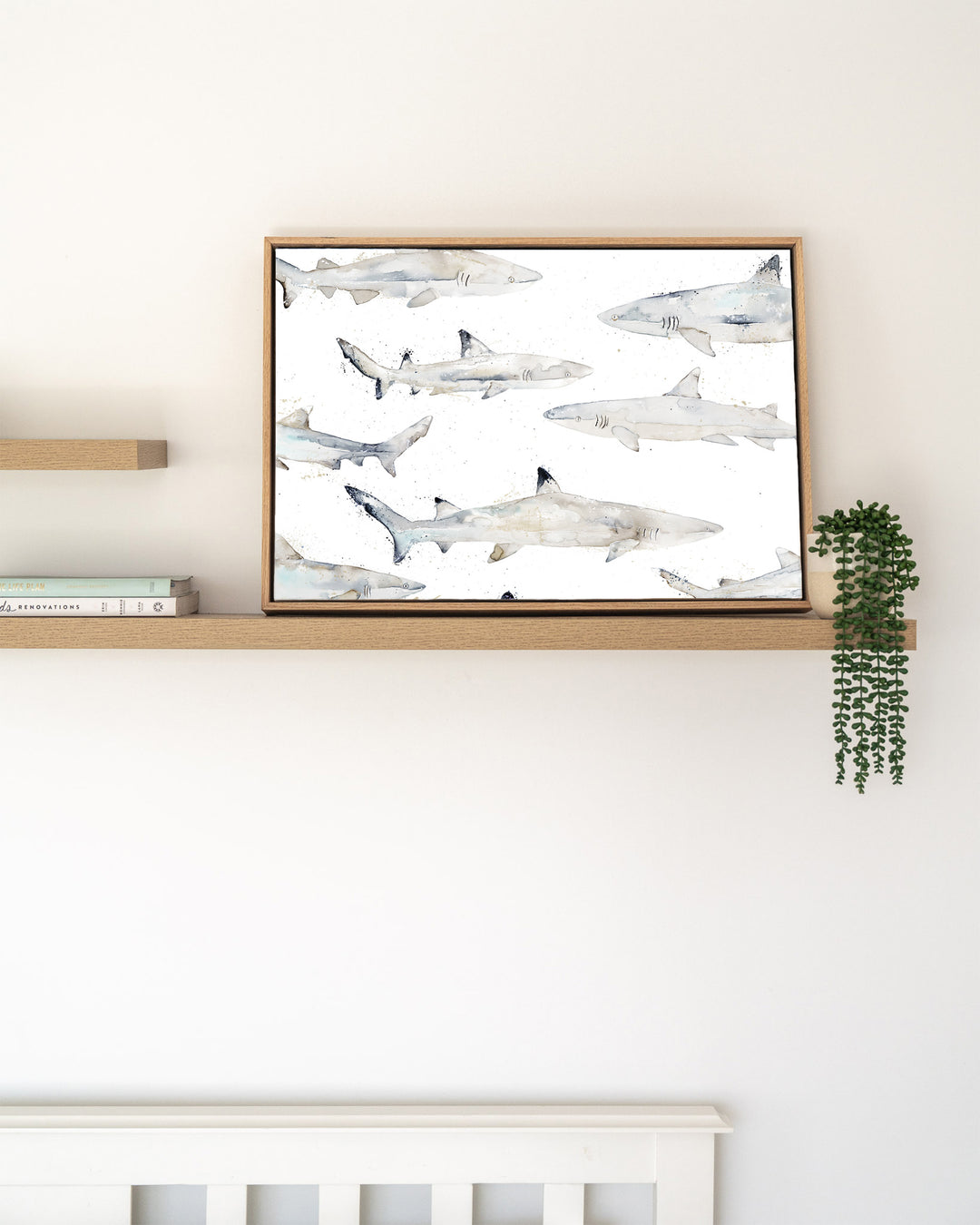 Black or White reef sharks fine art print by Stephanie Elizabeth, framed canvas in an oak frame on a shelf