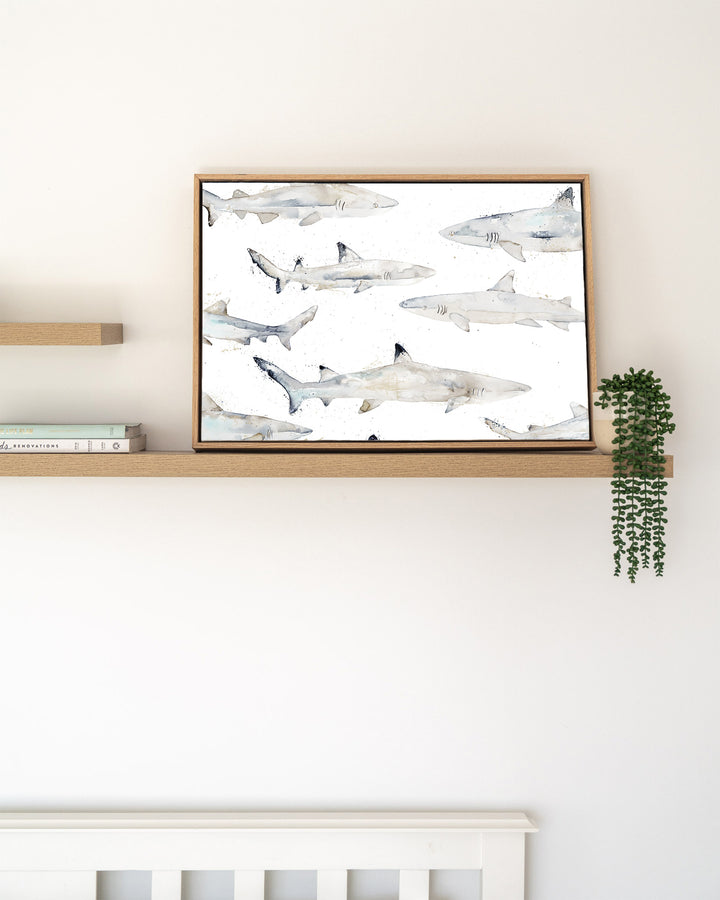 Black or White reef sharks fine art print by Stephanie Elizabeth, framed canvas in an oak frame on a shelf