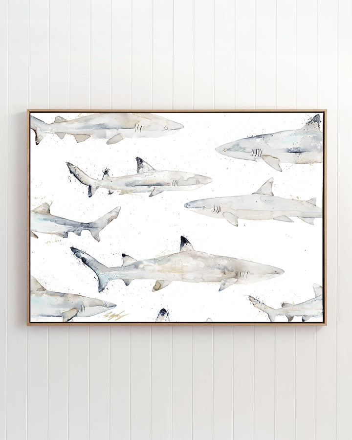 Black or White reef sharks fine art print by Stephanie Elizabeth, framed canvas in an oak frame