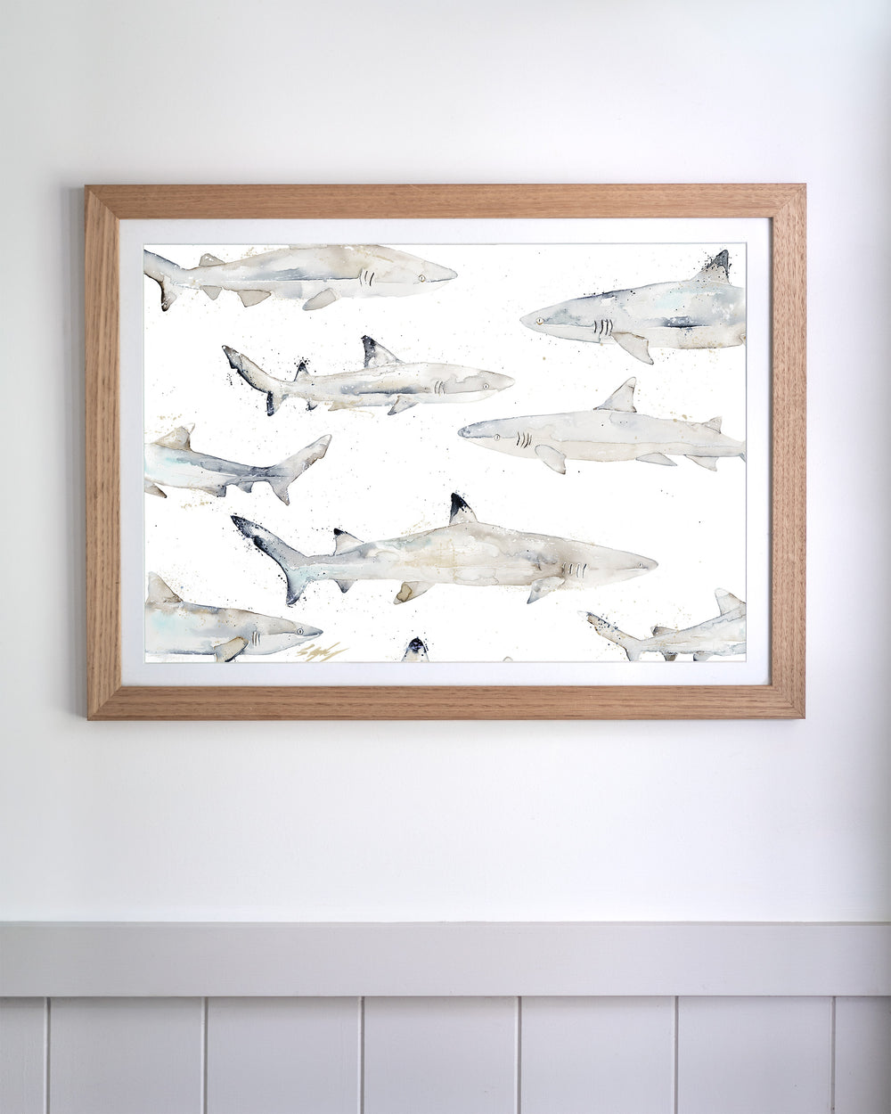 Black or White – reef sharks, framed paper print in oak frame