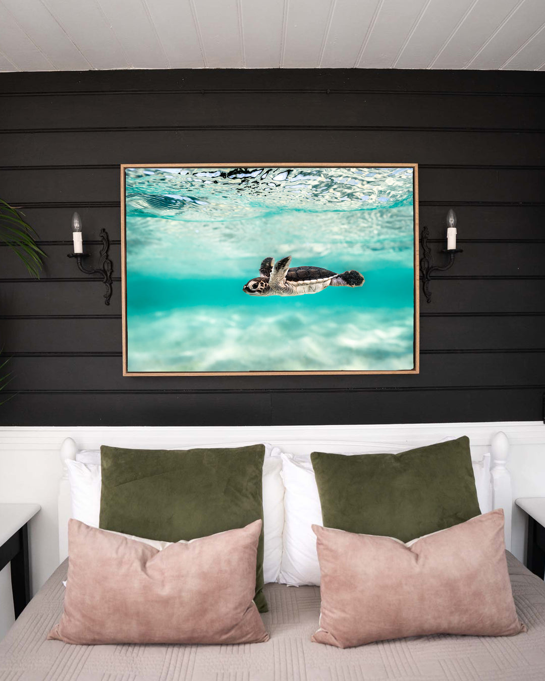 Blue Lagoon – Turtle Hatchling, Underwater Photography by David Lloyd, framed canvas print in oak float frame, styled in a bedroom setting