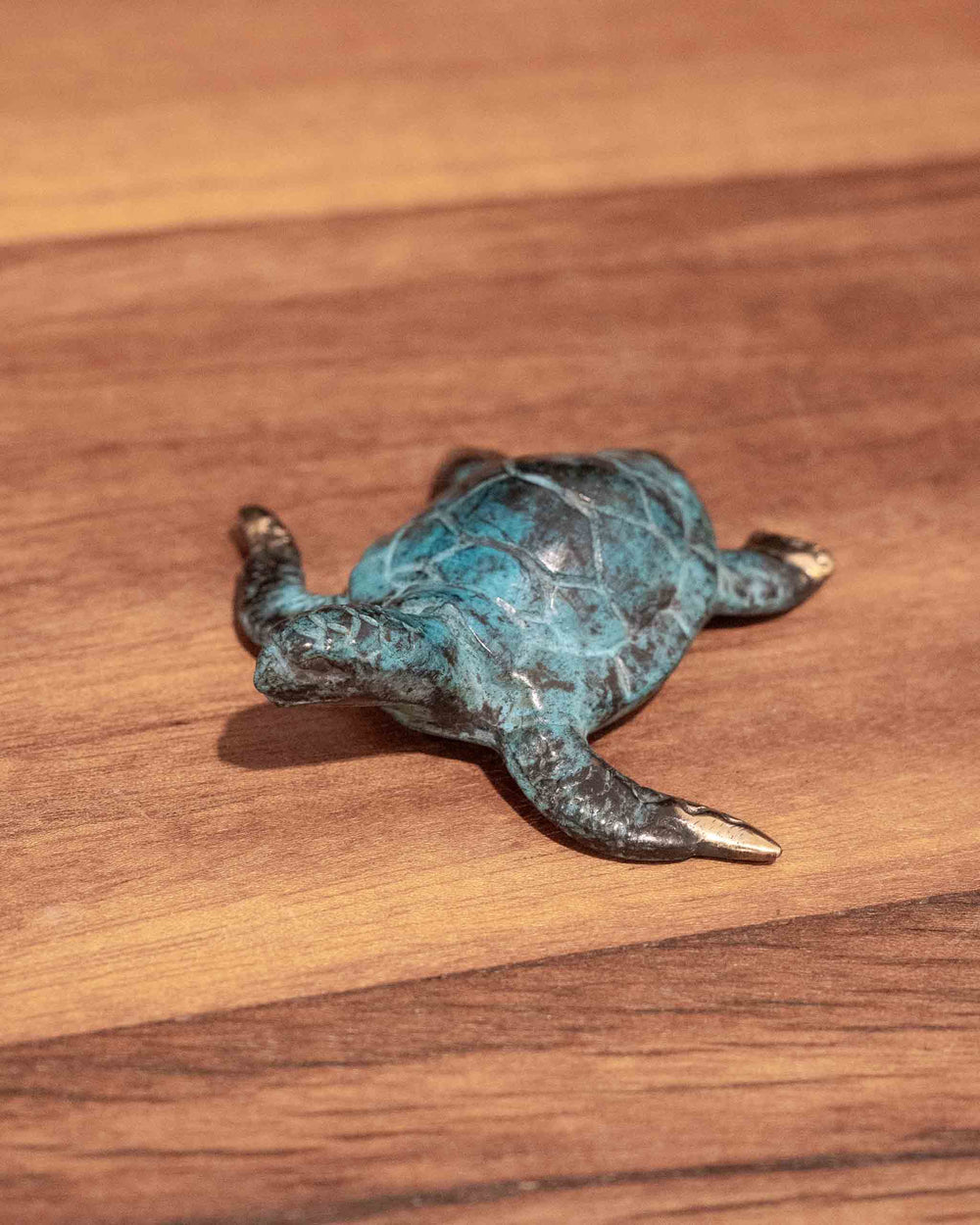Hatchling Turtle sculpture in aged brass with a blue-green patina and polished gold-tone flipper tips.
