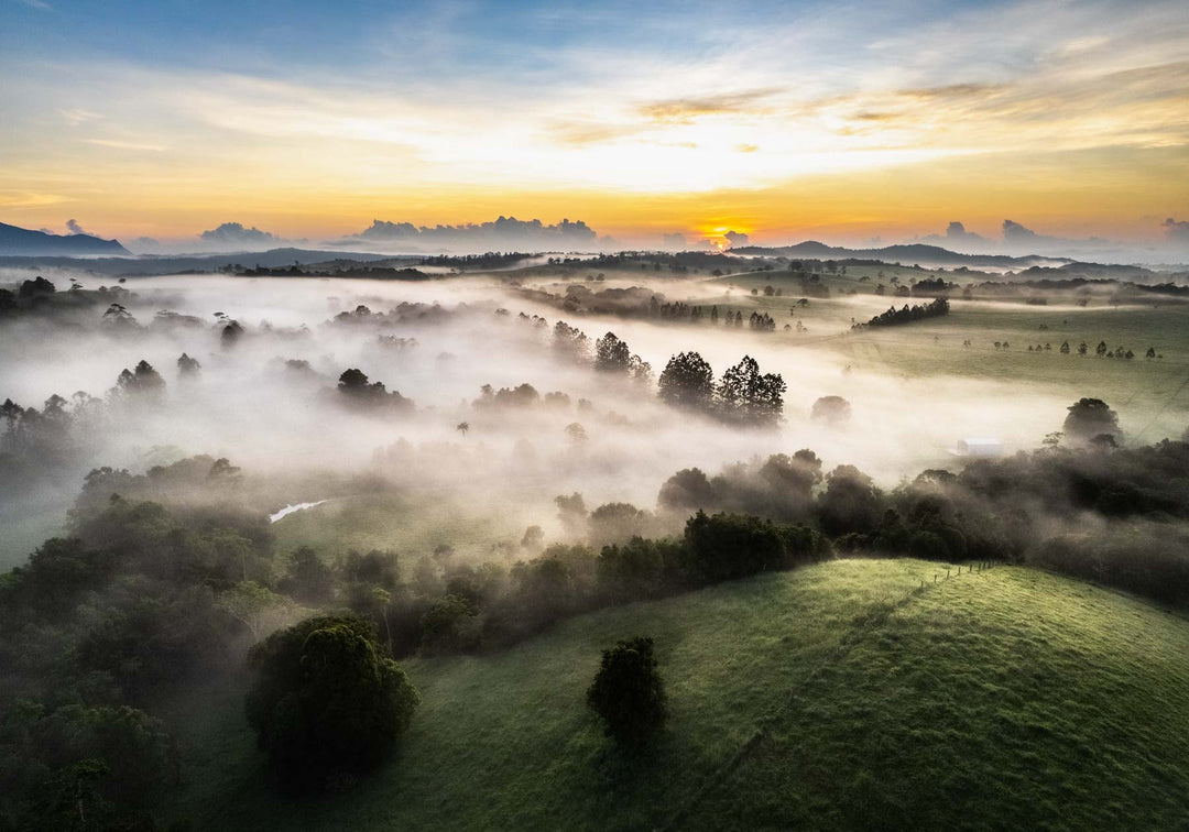 Campfire Smells and Fog Blankets – Misty Atherton Tablelands aerial landscape with fog blankets over forest | Unframed Rolled Print
