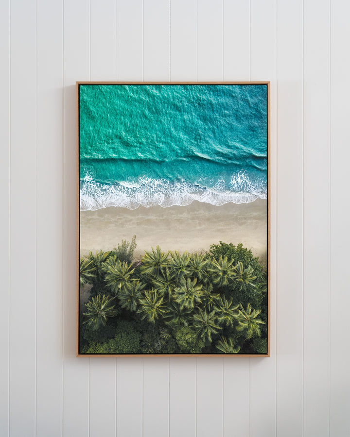Aerial print of City of Palms at Four Mile Beach, Port Douglas, showing a palm-lined beach meeting turquoise waves.
