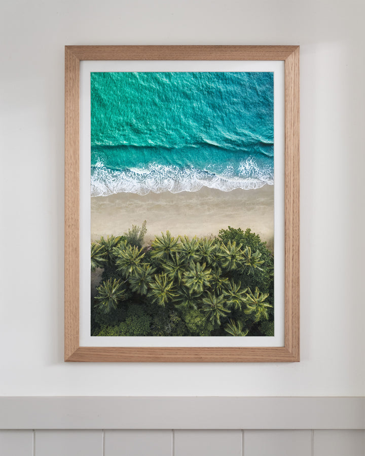 City of Palms, Four Mile Beach: aerial view of a palm forest, sandy beach, and turquoise ocean displayed on a wall.