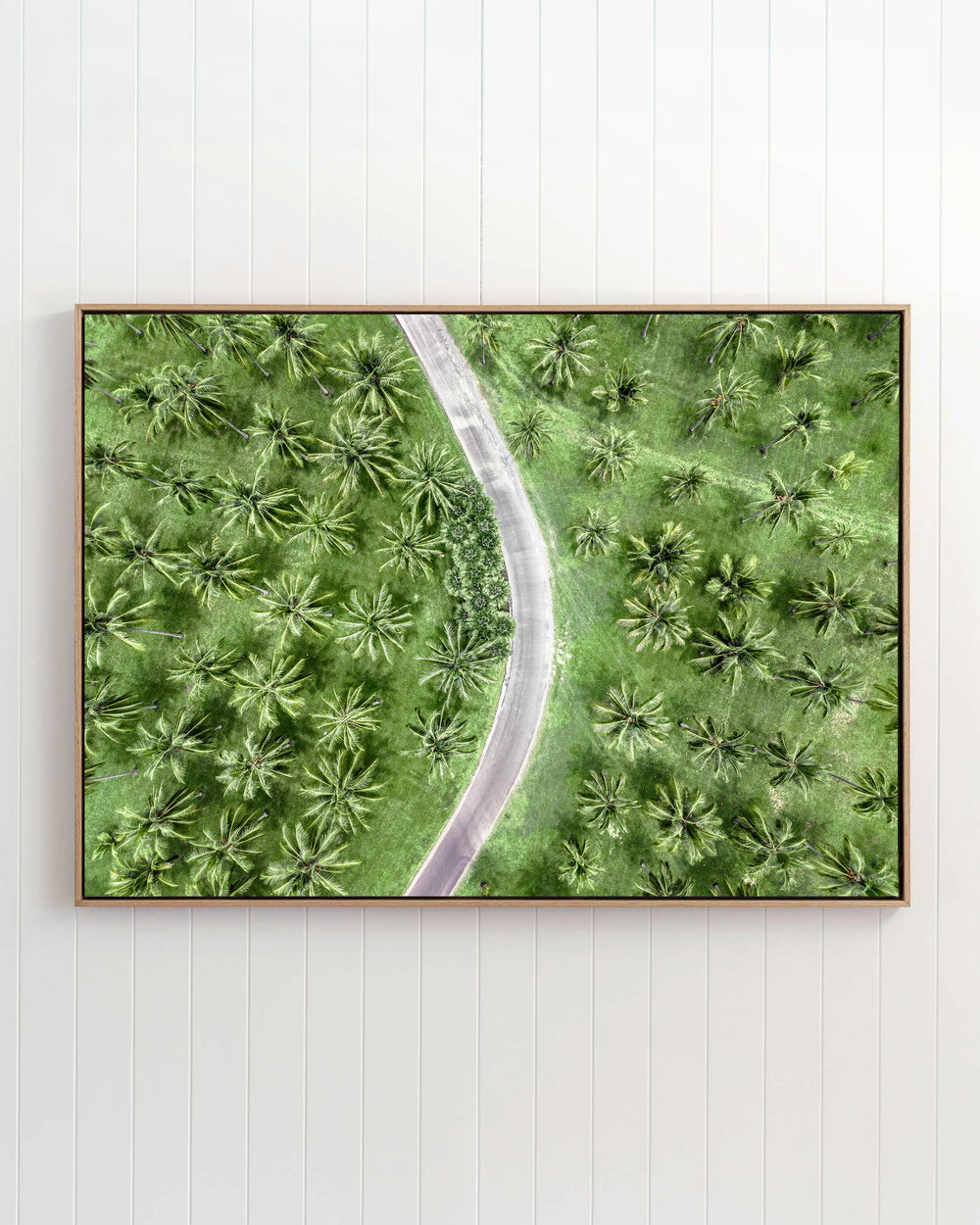 Aerial view of a winding road through a lush green palm plantation in Coconut Coast, Thala Beach.