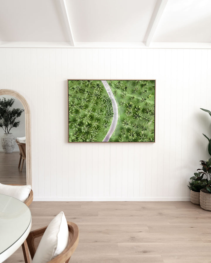 Coconut Coast – Thala Beach, Aerial Photography by David Lloyd, framed canvas print in oak float frame, styled in a dining room setting