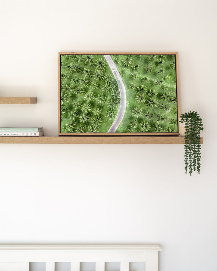 Coconut Coast – Thala Beach, Aerial Photography by David Lloyd, framed canvas print in oak float frame, styled in a timber shelf setting