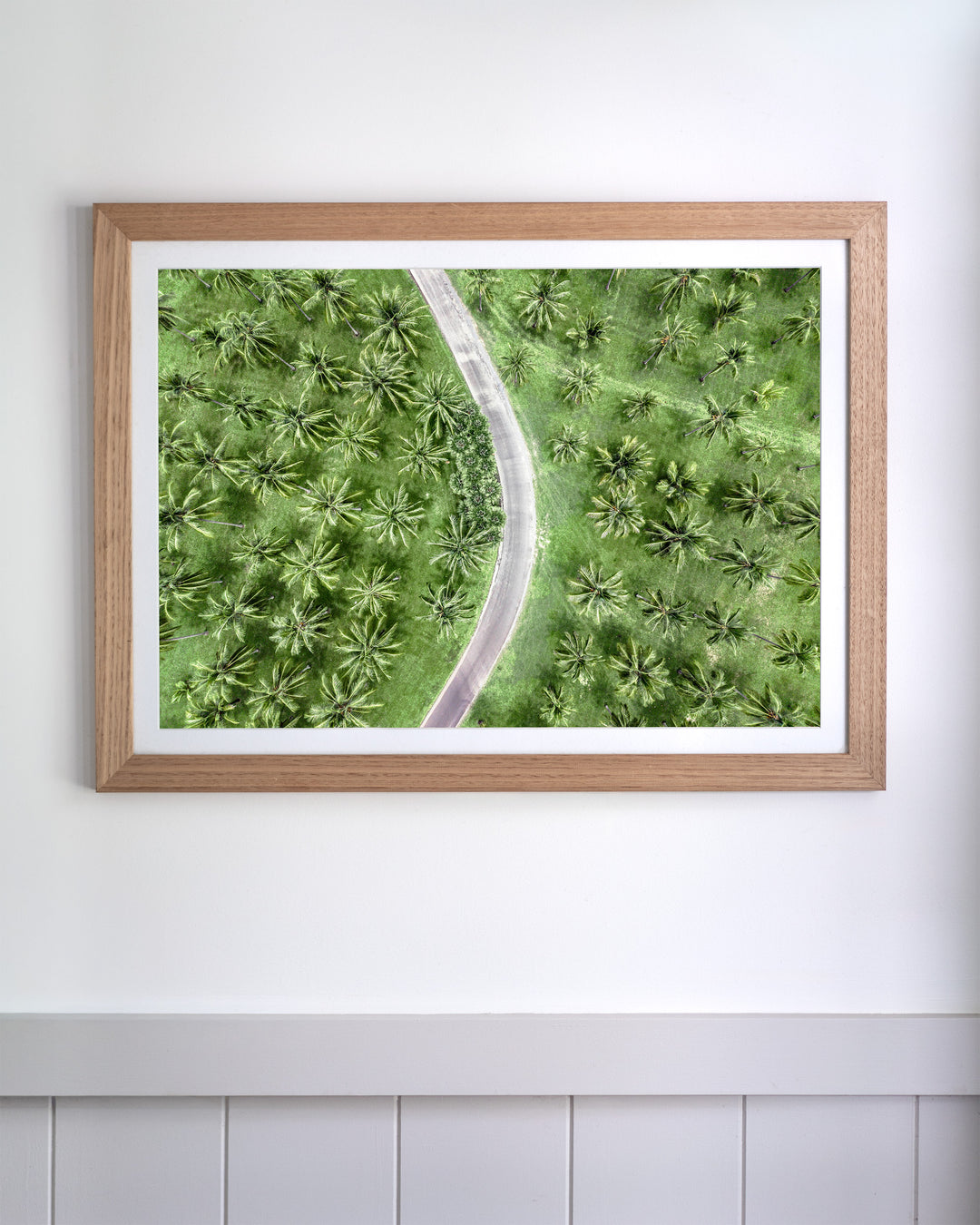 Coconut Coast | Thala Beach aerial photography print showing a winding road through a tropical palm forest.