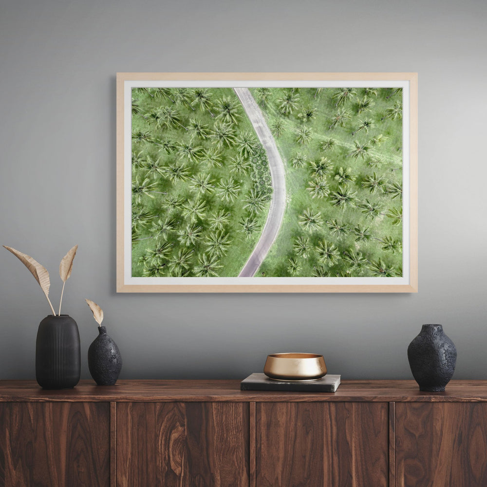 Coconut Coast – aerial photograph of winding road through dense tropical palm trees at Thala Beach | Framed Paper Print