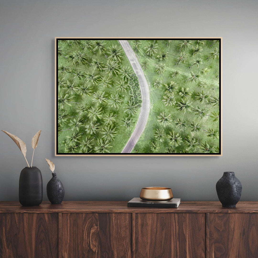 Coconut Coast – aerial photograph of winding road through dense tropical palm trees at Thala Beach | Shadow Box Canvas Print