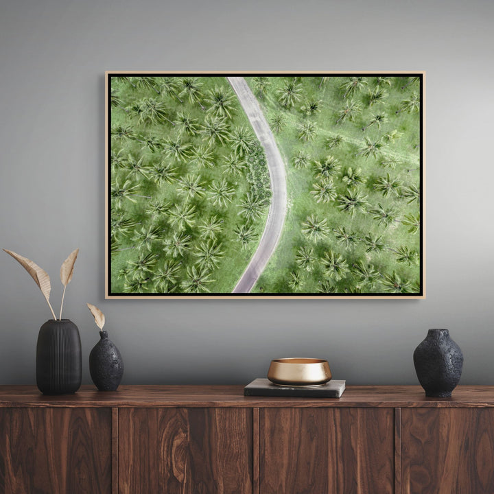 Coconut Coast – aerial photograph of winding road through dense tropical palm trees at Thala Beach | Shadow Box Canvas Print