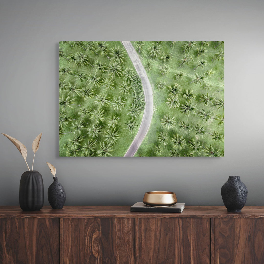 Coconut Coast – aerial photograph of winding road through dense tropical palm trees at Thala Beach | Stretched Canvas Print