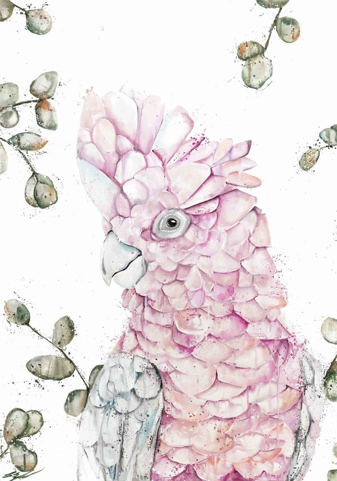 Coconut Ice by Stephanie Elizabeth – unframed rolled paper print of pink galah, Australian bird fine art print