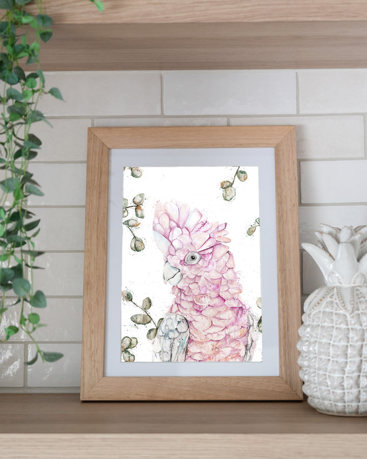 Coconut Ice pink galah fine art print by Stephanie Elizabeth, framed paper print in an oak frame on a kitchen shelf