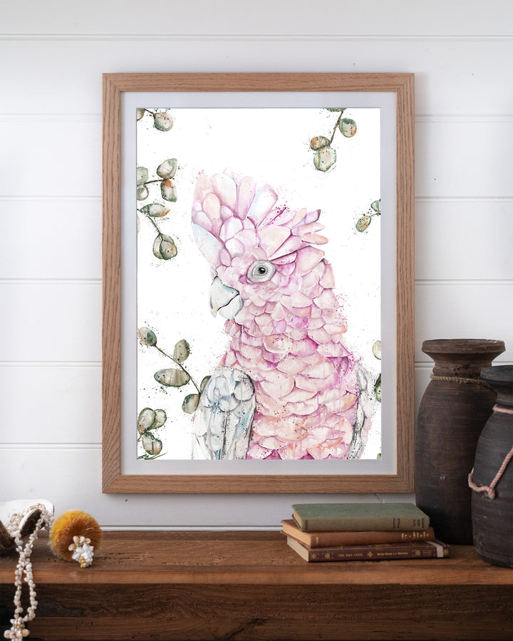 Coconut Ice pink galah fine art print by Stephanie Elizabeth, framed paper print in an oak frame on a shelf