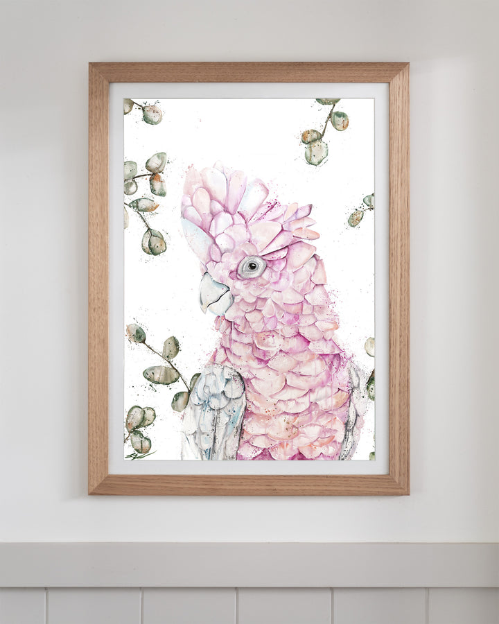 Coconut Ice pink galah fine art print by Stephanie Elizabeth, framed paper print in an oak frame