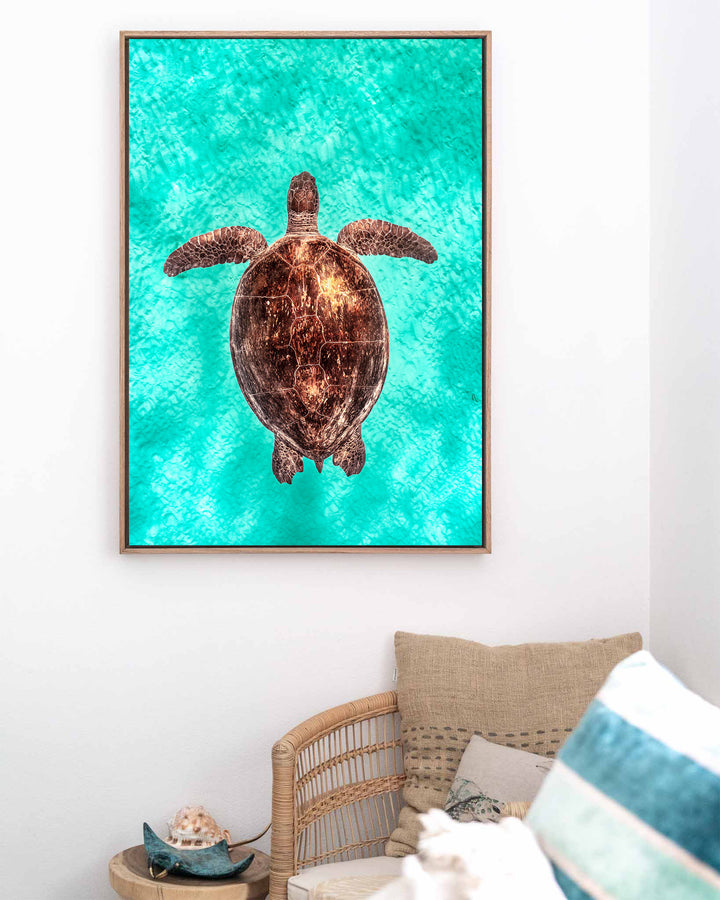 Copper Glow – Green Sea Turtle, Underwater Photography by David Lloyd, framed canvas print in oak float frame, styled in a coastal lounge setting