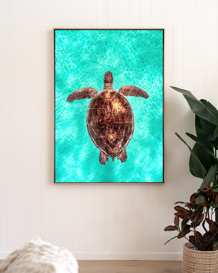 Copper Glow – Green Sea Turtle, Underwater Photography by David Lloyd, framed canvas print in oak float frame, styled in a living room setting