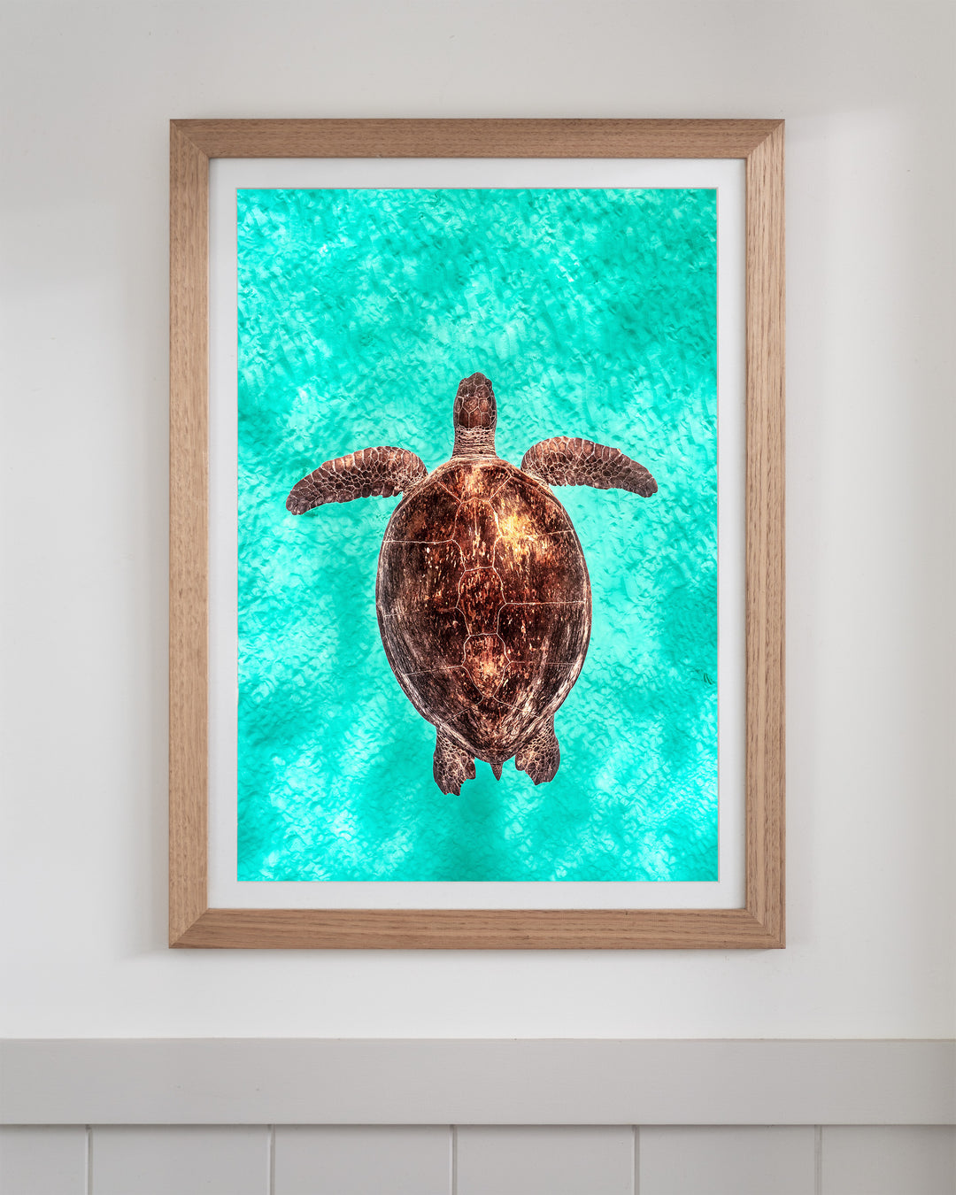 Copper Glow - Green Sea Turtle | Underwater Photography