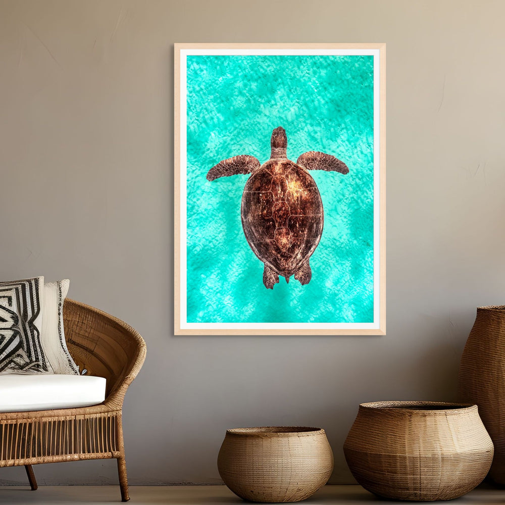 Copper Glow by David Lloyd – portrait of a green sea turtle in turquoise shallows, fine art marine life photography print