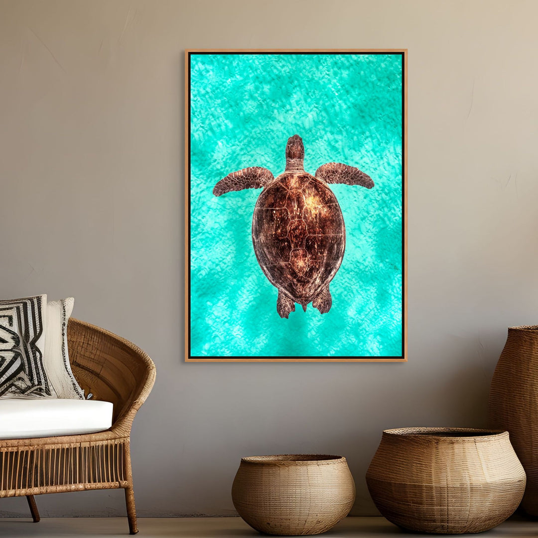 Copper Glow by David Lloyd – portrait of a green sea turtle in turquoise shallows, fine art marine life photography print