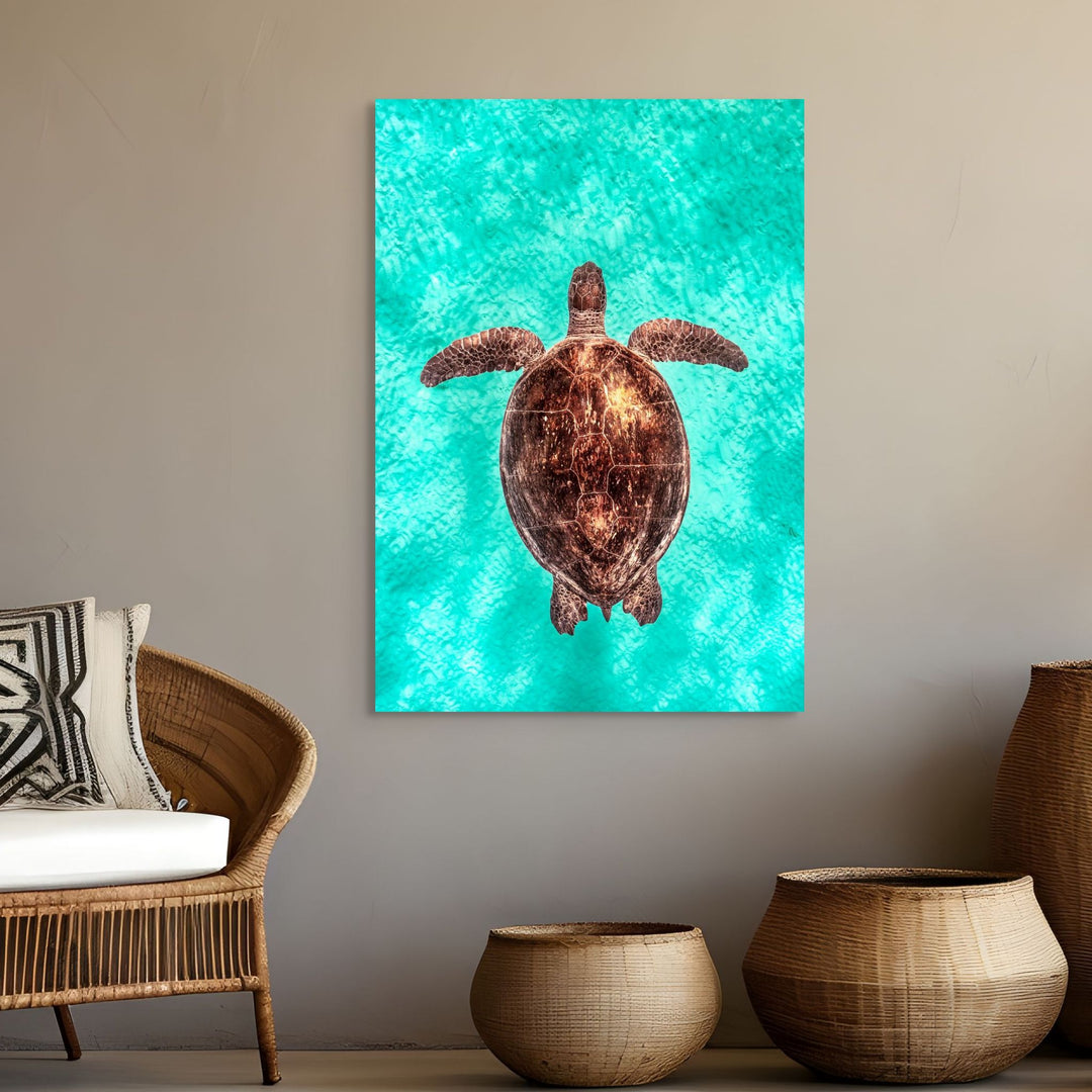Copper Glow by David Lloyd – portrait of a green sea turtle in turquoise shallows, fine art marine life photography print