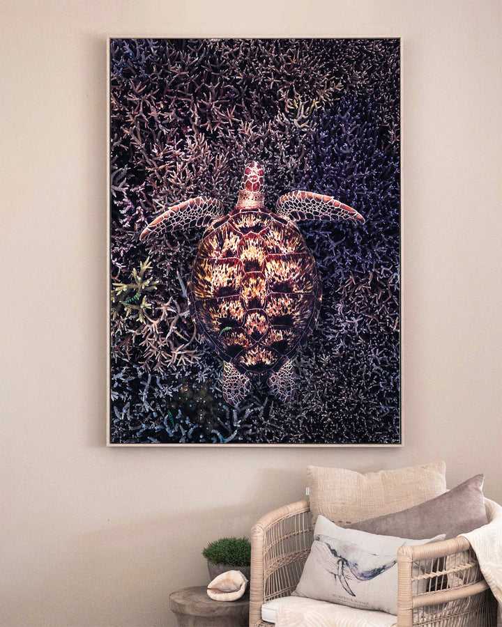 Coral Labyrinth – Green Sea Turtle, Underwater Photography by David Lloyd, framed canvas print in oak float frame, styled in a sitting room setting