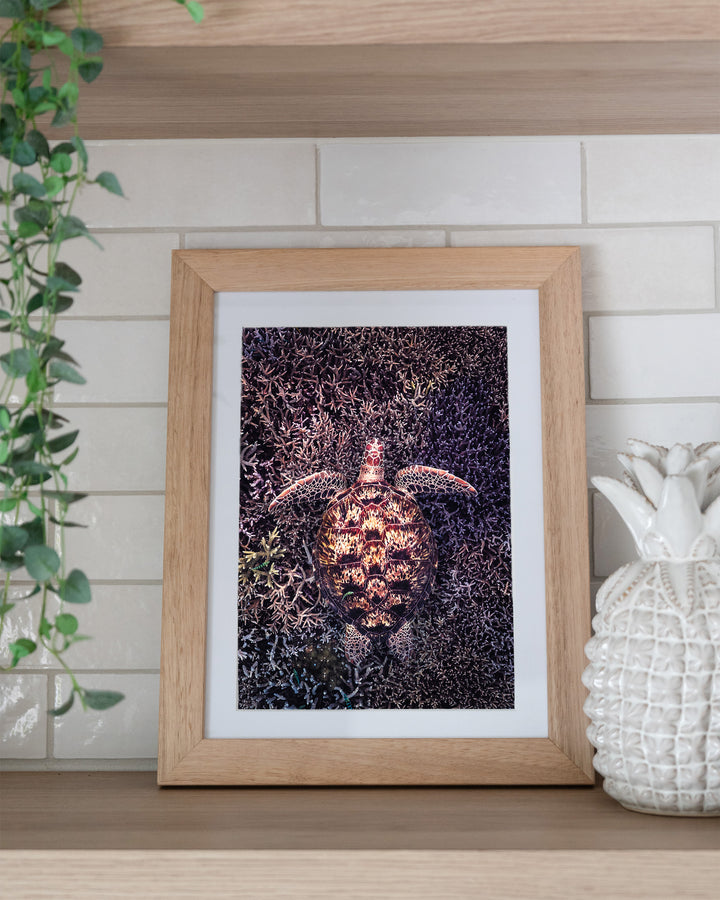 Coral Labyrinth – Green Sea Turtle, Underwater Photography by David Lloyd, framed paper print in oak frame, styled in a kitchen shelf setting