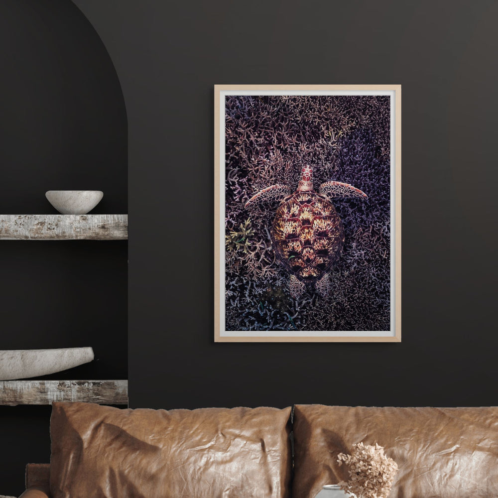 Coral Labyrinth by David Lloyd – green turtle swimming over coral in moody underwater scene, fine art marine life photography print