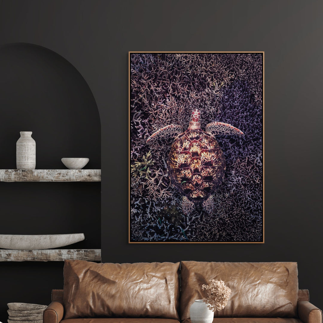 Coral Labyrinth by David Lloyd – green turtle swimming over coral in moody underwater scene, fine art marine life photography print