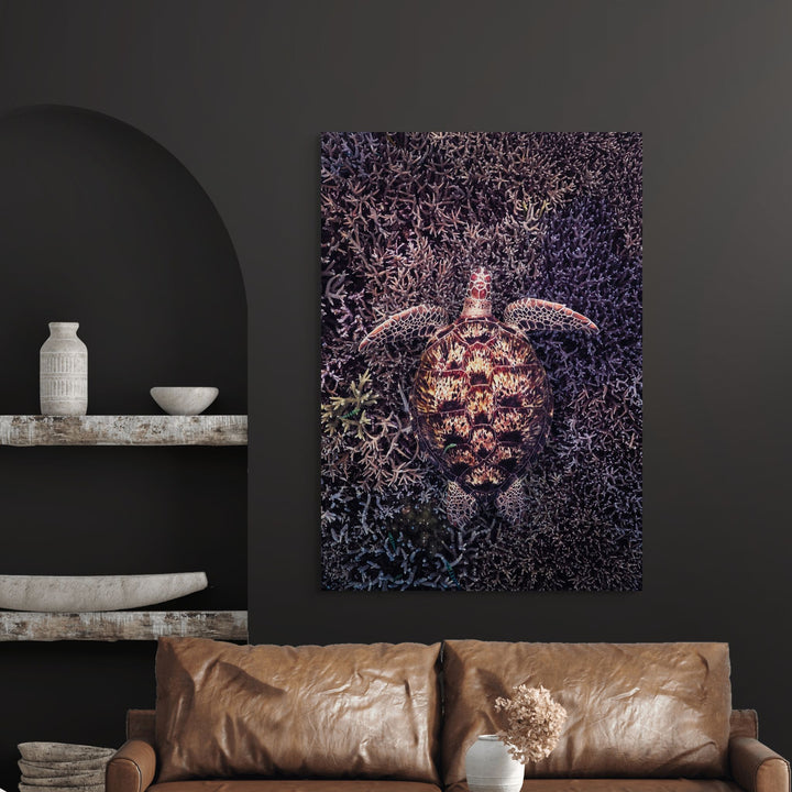 Coral Labyrinth by David Lloyd – green turtle swimming over coral in moody underwater scene, fine art marine life photography print