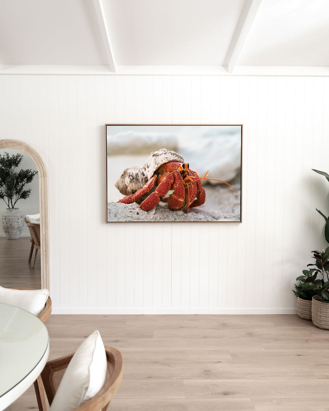 Crab Life – Strawberry Hermit Crab, Sea Life Photography by David Lloyd, framed canvas print in oak float frame, styled in a dining room setting