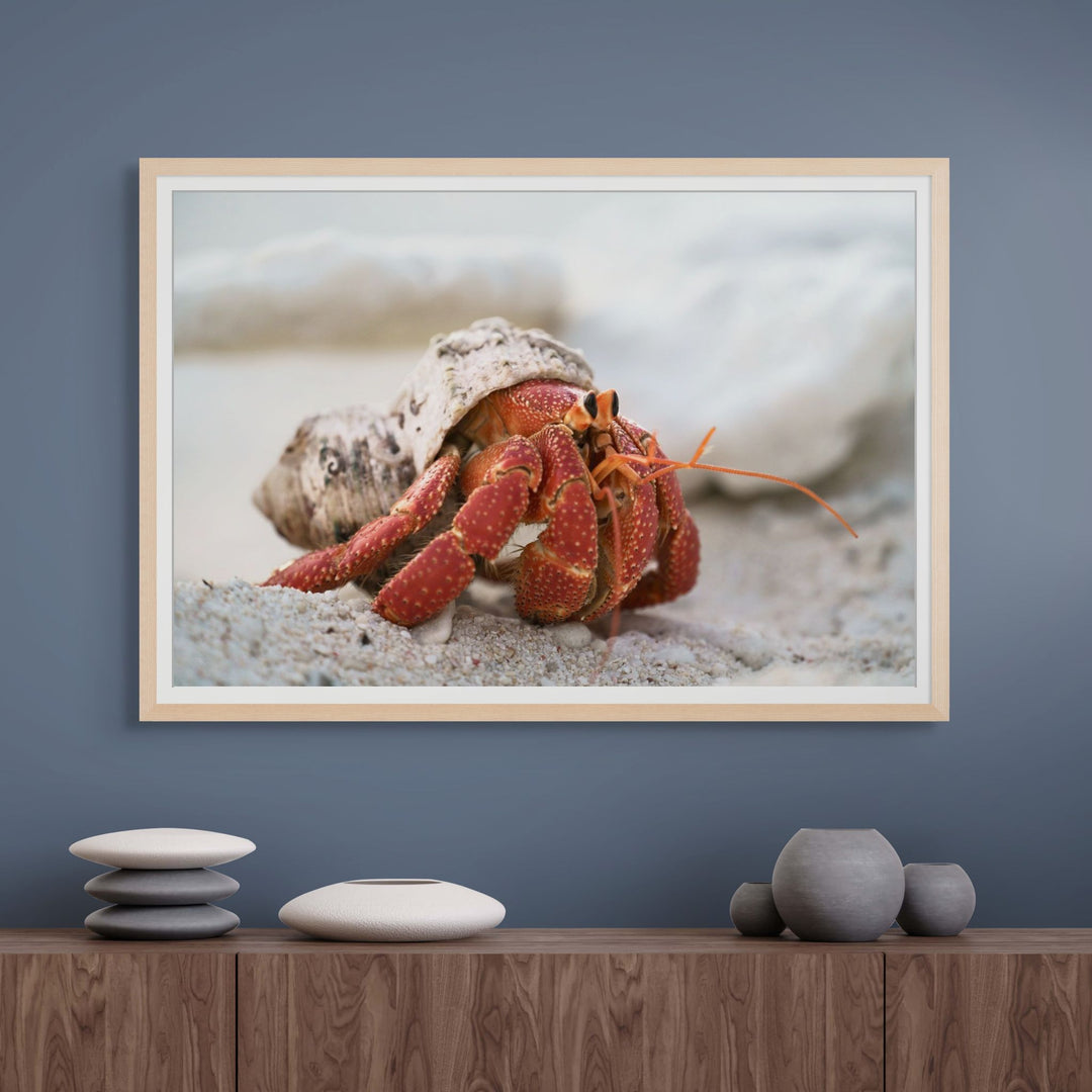 Crab Life – Strawberry hermit crab interacting with a young boy, playful underwater scene with coral and sand | Framed Paper Print