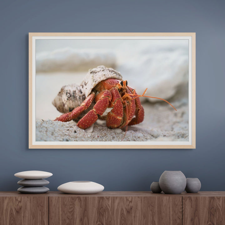 Crab Life – Strawberry hermit crab interacting with a young boy, playful underwater scene with coral and sand | Framed Paper Print