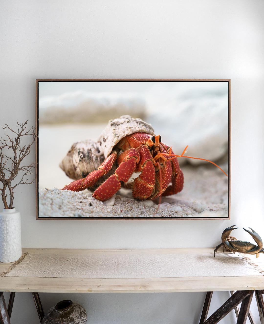 Framed Strawberry Hermit Crab sea life photography displayed on a sandy, wooden console table.