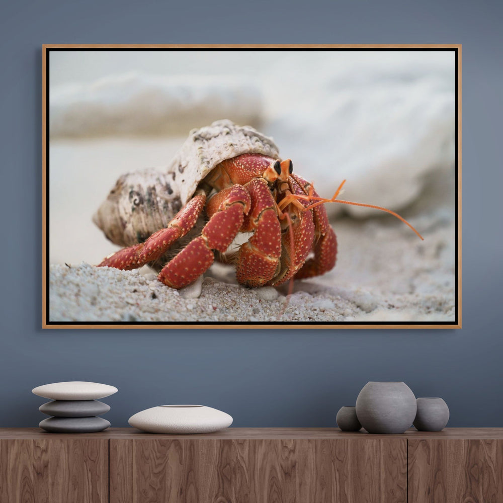 Crab Life – Strawberry hermit crab interacting with a young boy, playful underwater scene with coral and sand | Shadow Box Canvas Print