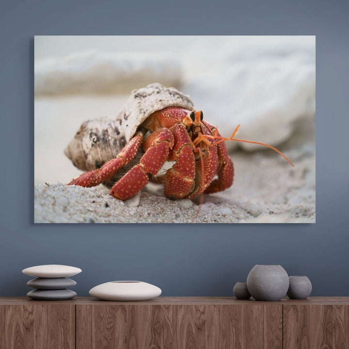 Crab Life – Strawberry hermit crab interacting with a young boy, playful underwater scene with coral and sand | Stretched Canvas Print