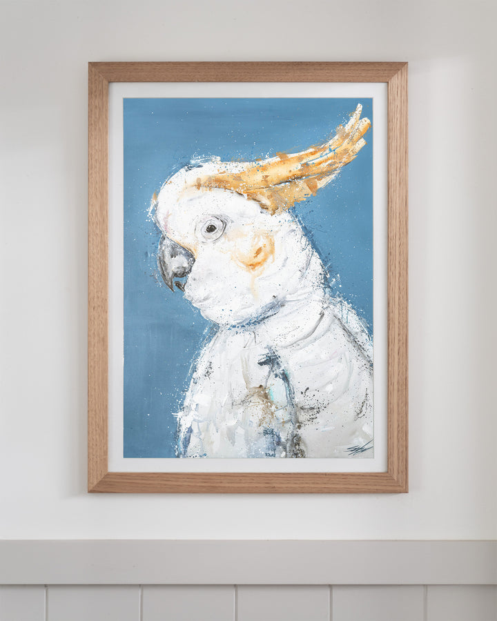 Crested Fiesta – white cockatoo, framed paper print in oak frame