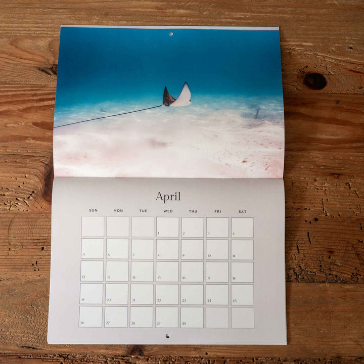Calendar sheet for April with eagle ray