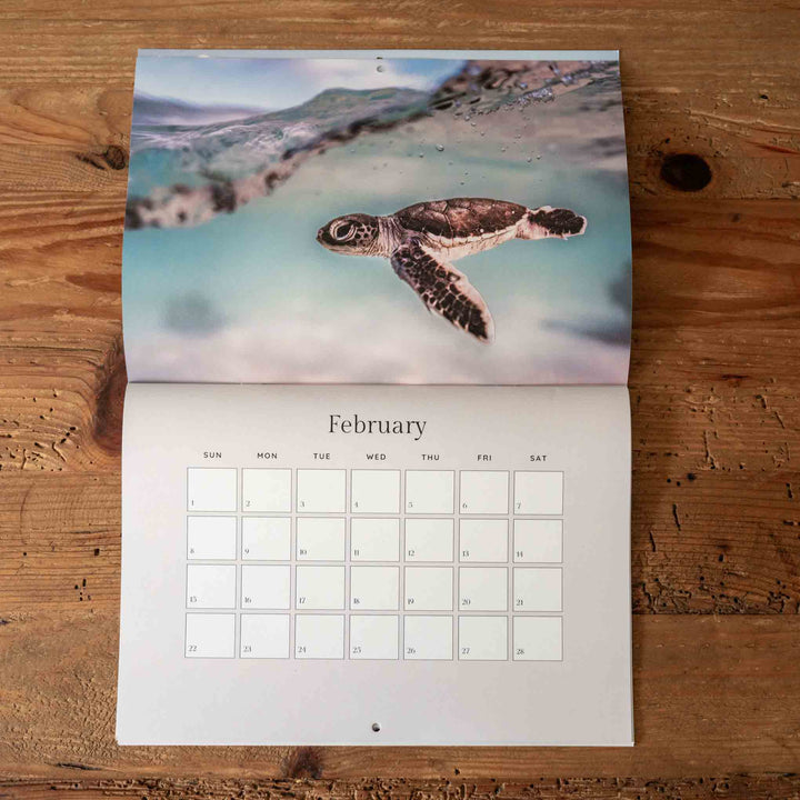 Calendar with a turtle on a beach for February, placed on a wooden surface