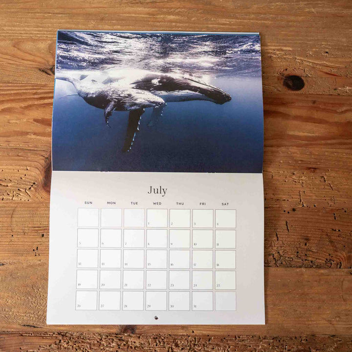 Calendar with a whale image on a wooden surface