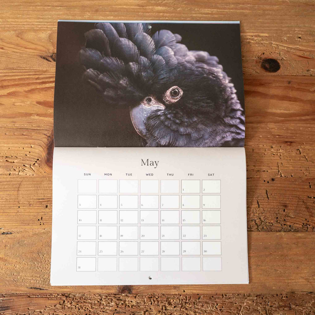 Calendar with a black cockatoo photograph