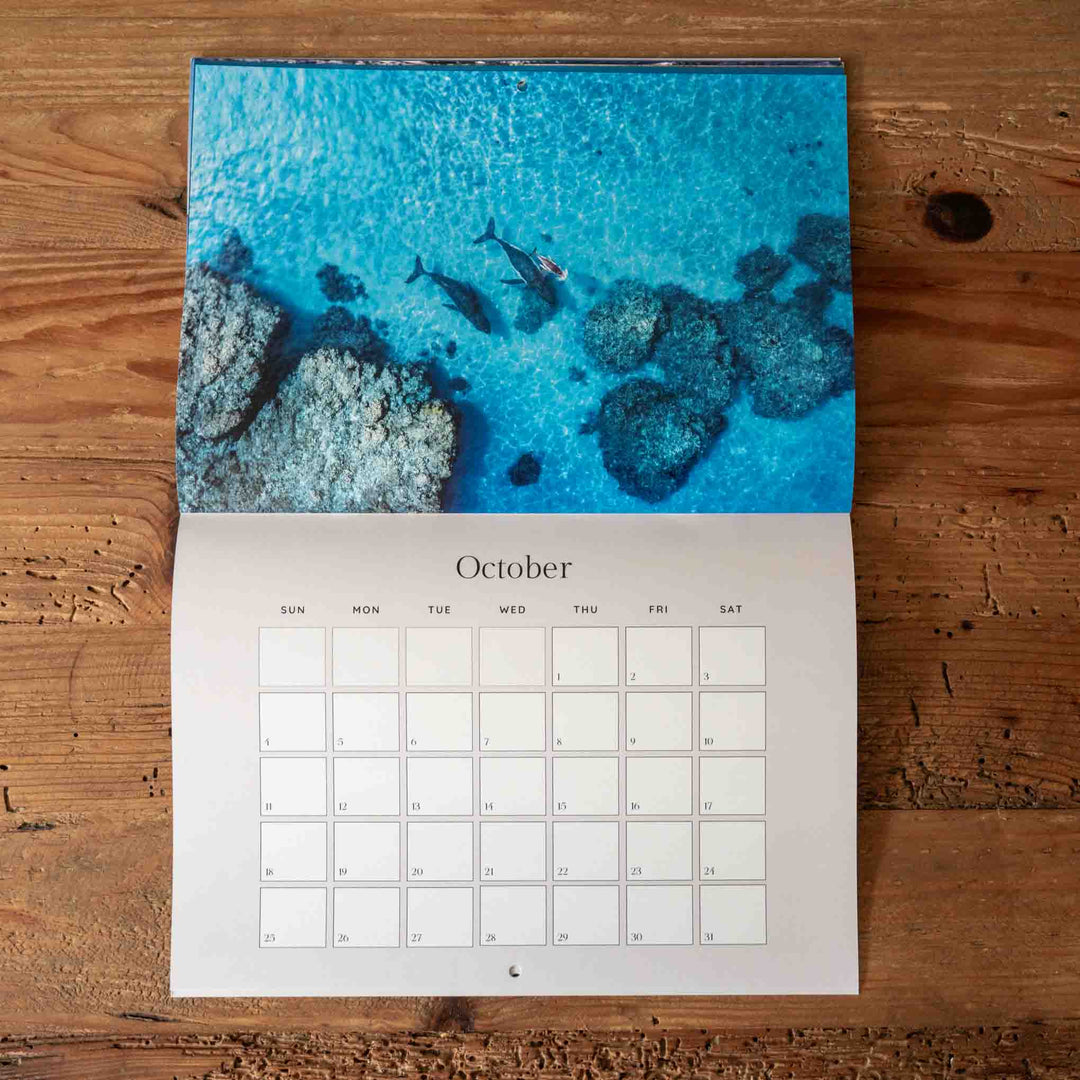 Calendar for October humpback whales over the reef from the air