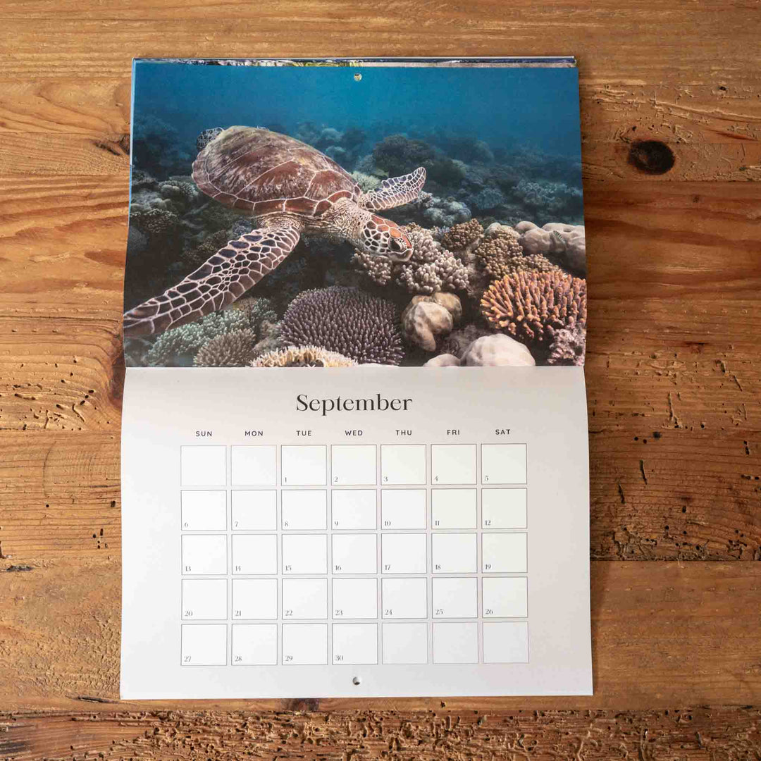 Calendar with a turtle and coral design on a wooden surface